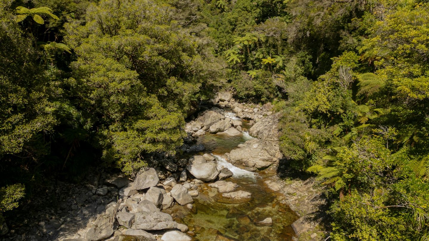 An aerial view of a rocky stream running through dense New Zealand forest.
